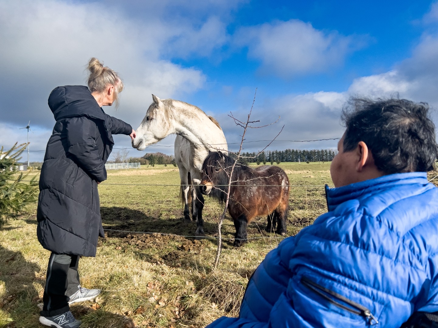 Beboere oplever natur og dyr ved Botilbudet Lindholm